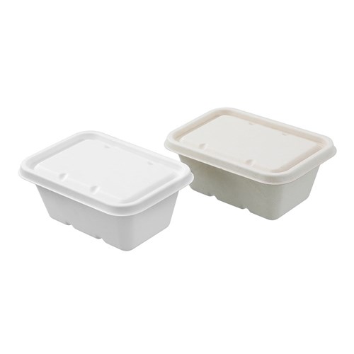 ECO SUGARCANE FOOD CONTAINER