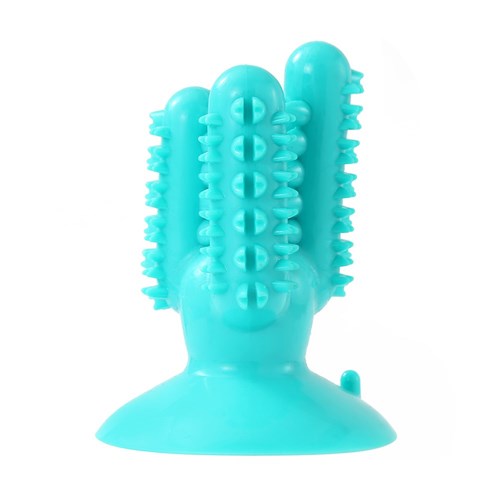CACTUS SUCTION DENTAL TREAT