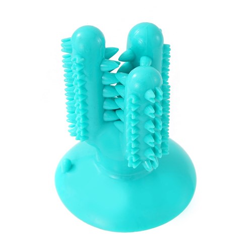 CACTUS SUCTION DENTAL TREAT