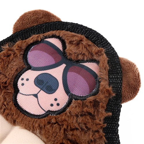 COOL GUY GRIZZLY BEAR