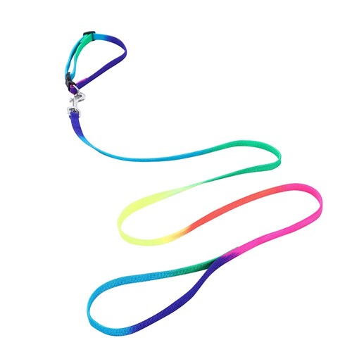 CAT COLLAR + LEAD SET