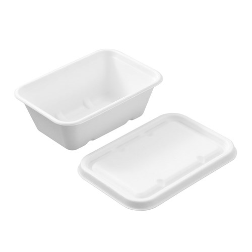 ECO SUGARCANE FOOD CONTAINER
