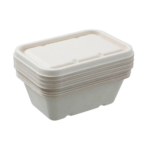 ECO SUGARCANE FOOD CONTAINER