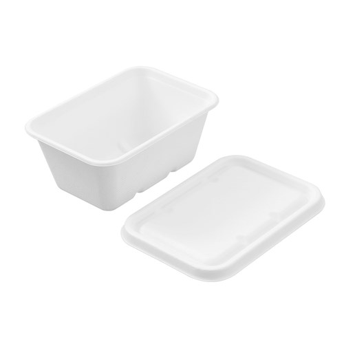 ECO SUGARCANE FOOD CONTAINER