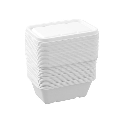 ECO SUGARCANE FOOD CONTAINER