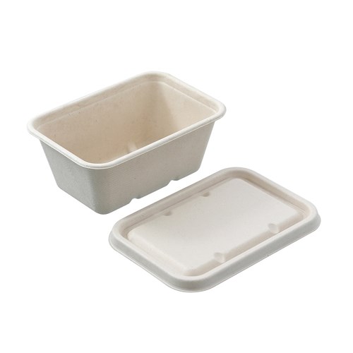 ECO SUGARCANE FOOD CONTAINER