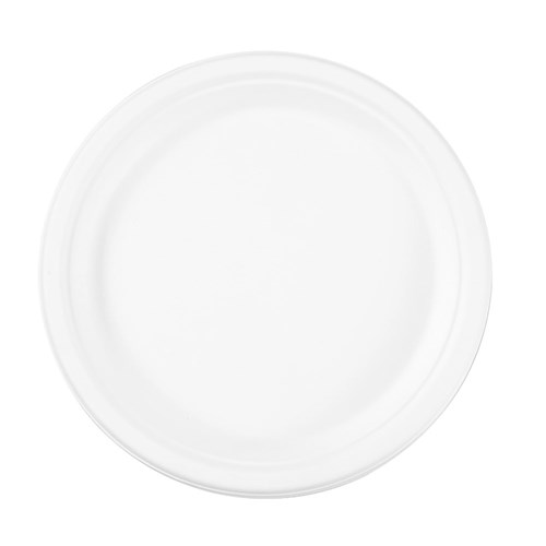 ECO SUGARCANE DINNER PLATE