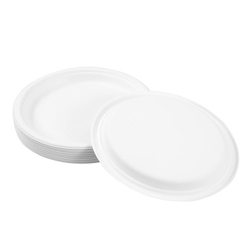 ECO SUGARCANE DINNER PLATE