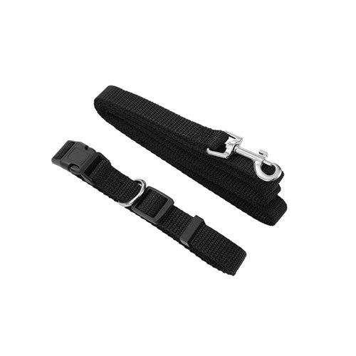 ESSENTIALS COLLAR & LEAD SET
