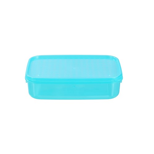 SIMPLE FRESH FOOD CONTAINER 1L