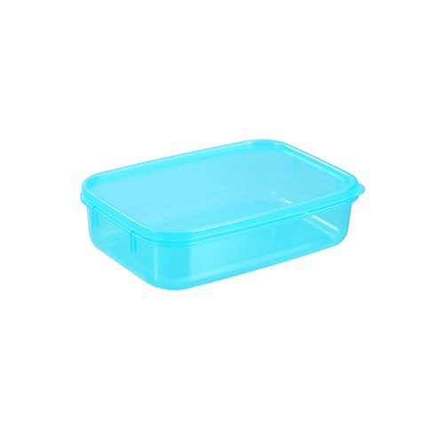 SIMPLE FRESH FOOD CONTAINER 1L