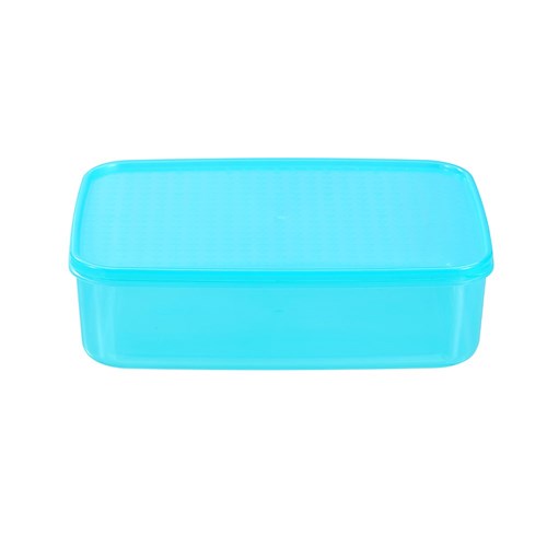 SIMPLE FRESH FOOD CONTAINER