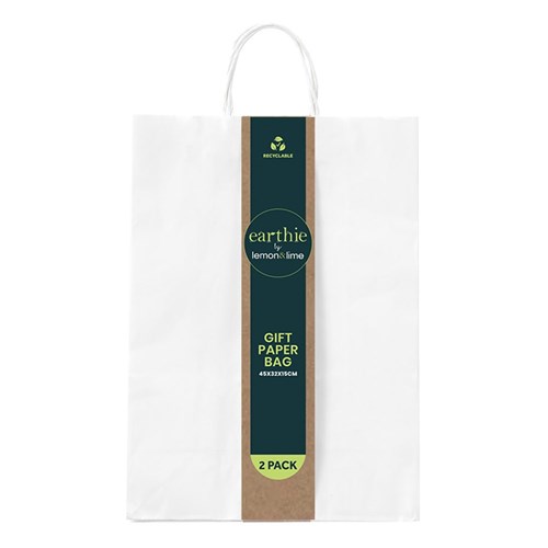 GIFT BAG PAPER 2PK