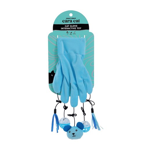 CAT GLOVE TEASER TOY
