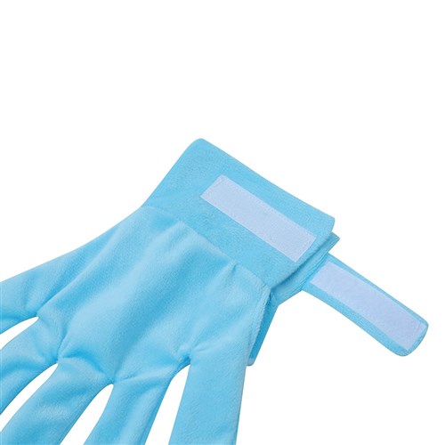 CAT GLOVE TEASER TOY