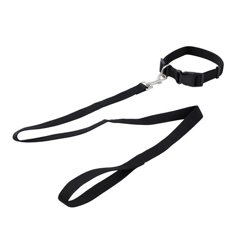 ESSENTIALS COLLAR & LEAD SET