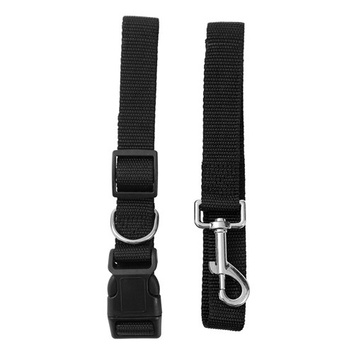 ESSENTIALS COLLAR & LEAD SET