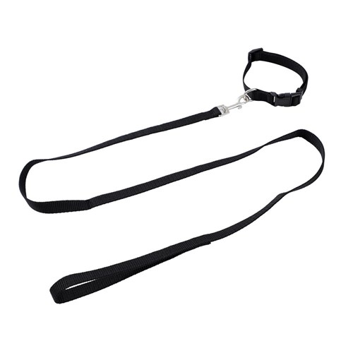ESSENTIALS COLLAR & LEAD SET