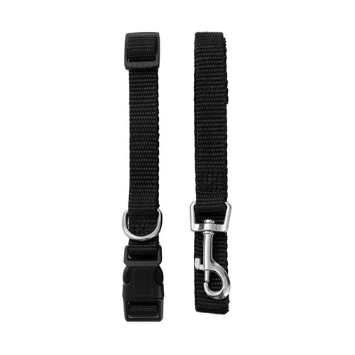 ESSENTIALS COLLAR & LEAD SET