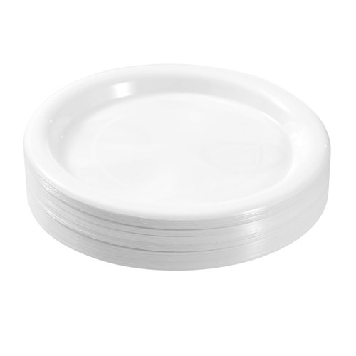 REUSABLE PLASTIC DINNER PLATE