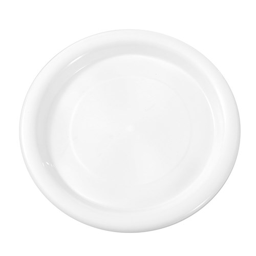 REUSABLE PLASTIC DINNER PLATE