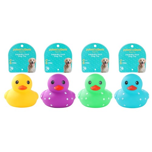 P&C SQUEAKY DUCKS