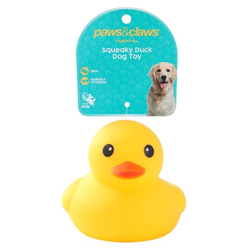 P&C SQUEAKY DUCKS
