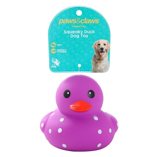 P&C SQUEAKY DUCKS