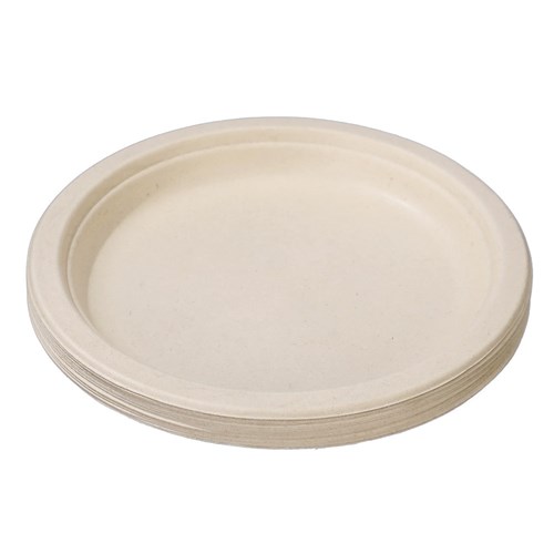 ECO SUGARCANE SIDE PLATE