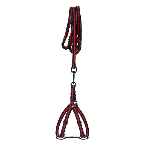 STRETCHY LEAD & HARNESS