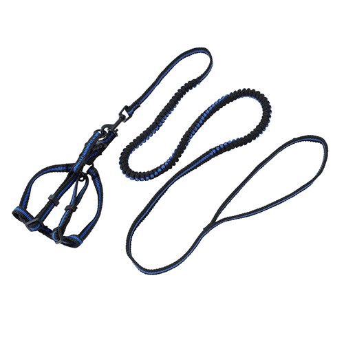 STRETCHY LEAD & HARNESS