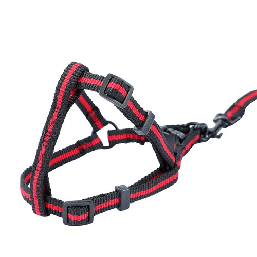 STRETCHY LEAD & HARNESS